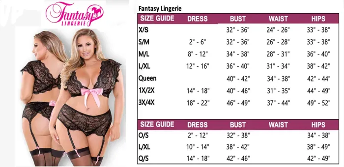 Female Sex Toys Fantasy Lingerie Ren Microfiber Panty With DoubleStrap Waistband All Sizes