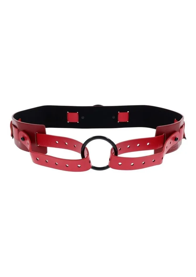 Sex and Mischief Male Sex Toys Sex and Mischief Exs Andamp Ohs Bound and Belted